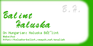 balint haluska business card